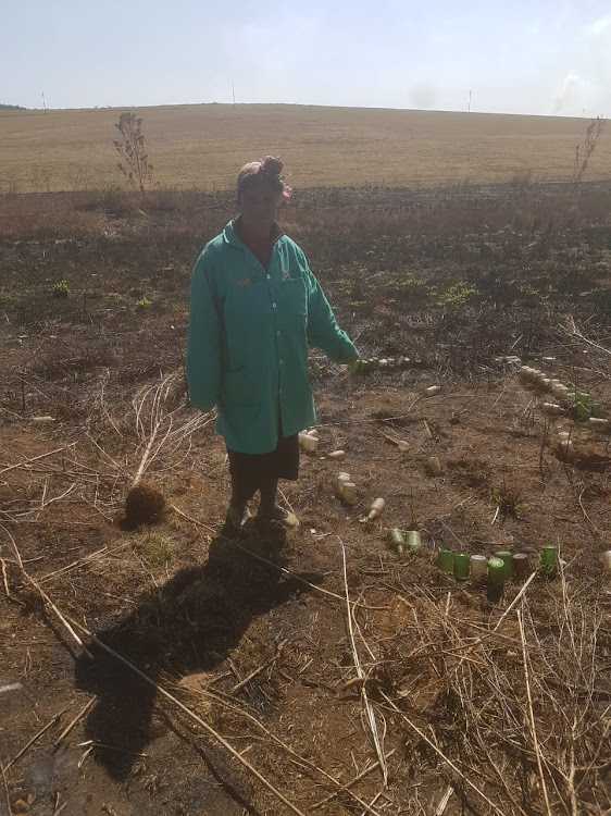 Community representative Fikile Maharaj pointing one of the still visible graves after their ancestral graves were demolished by the farmer.