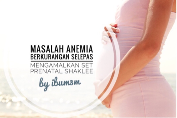 Set Prenatal Shaklee