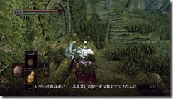 DARKSOULS 2016-08-07 16-06-44-35