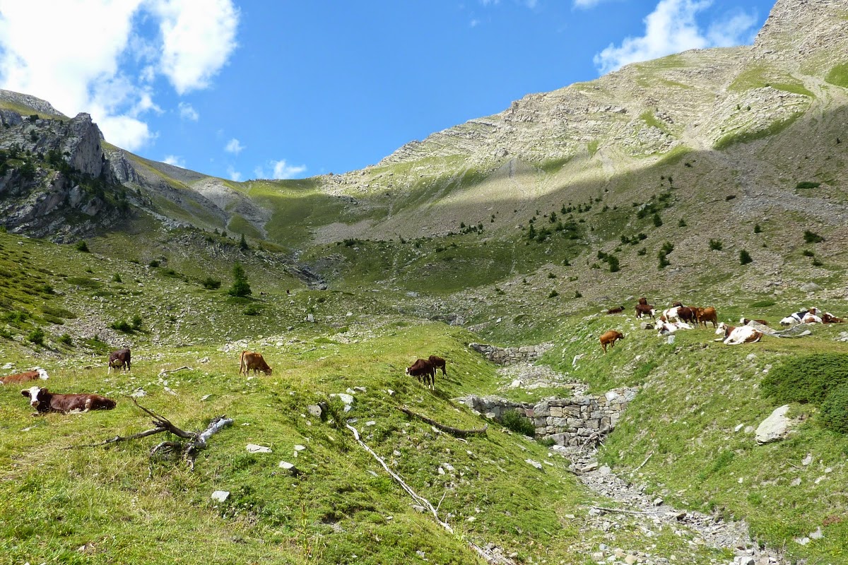 P1040211.JPG