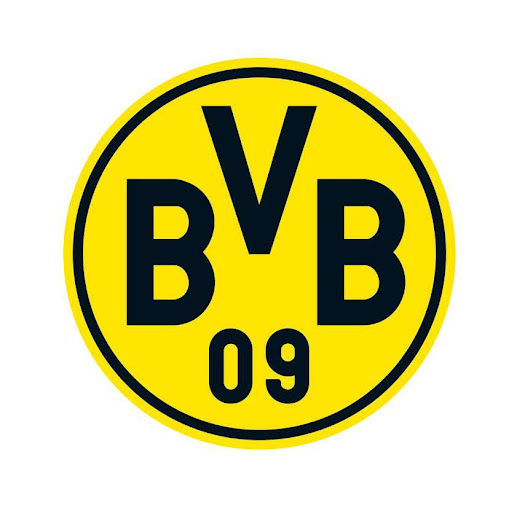 BVB Evonik Fußballakademie logo