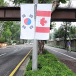 south korean and canadian flags in Seoul, South Korea 