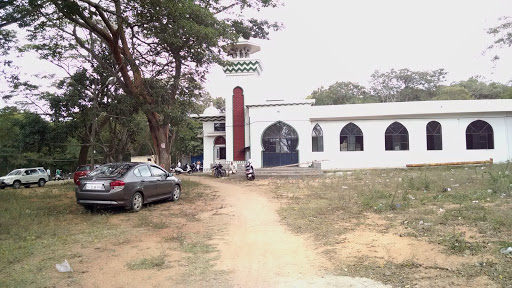 Mosque, Hunsur Rd, Devaraja Mohalla, CFTRI Campus, Kajjihundi, Mysuru, Karnataka 570020, India, Mosque, state KA