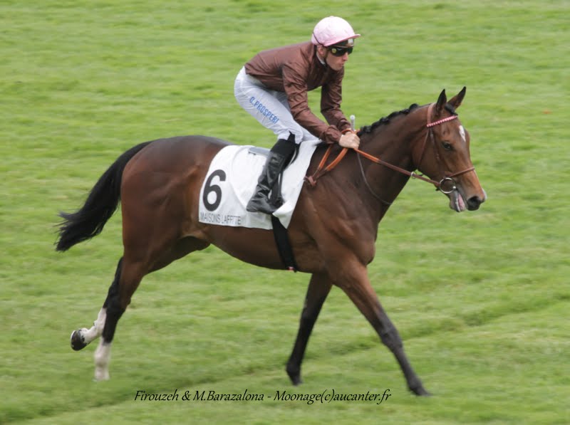 Photos Maisons-Laffitte 5-07-2015 IMG_2329