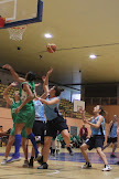 IMG_4272 - 1.jpg IMG_4272 - 1.jpg