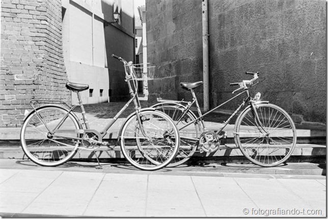 PhotoExif - Camera: EOS 300, Film: Kodak 400TX, Comment: