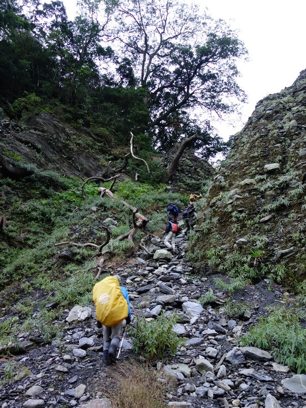 2014_0101-0105 萬山神石、萬山岩雕順訪萬頭蘭山_0464