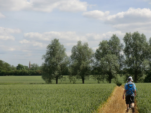 CIMG2000 Through a field towards Hadlow