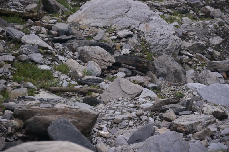 2014_0101-0105 萬山神石、萬山岩雕順訪萬頭蘭山_0897