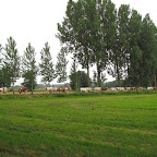 Busreis Hoogstraten 21-06'15 Busreis Hoogstraten 21-06'15