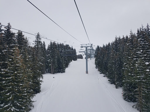 Les Rhodos Meribel
