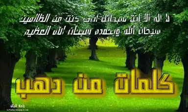 كلمات من ذهب حكم وامثال وأقوال مآثوره golden words