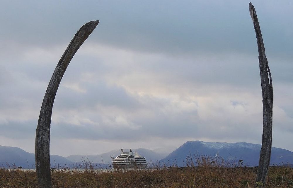 whale-bone-alley-7