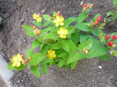 P1120027.JPG