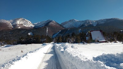 Photos of Staza