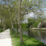 Château de Rambouillet : Jardin anglais, allée verte