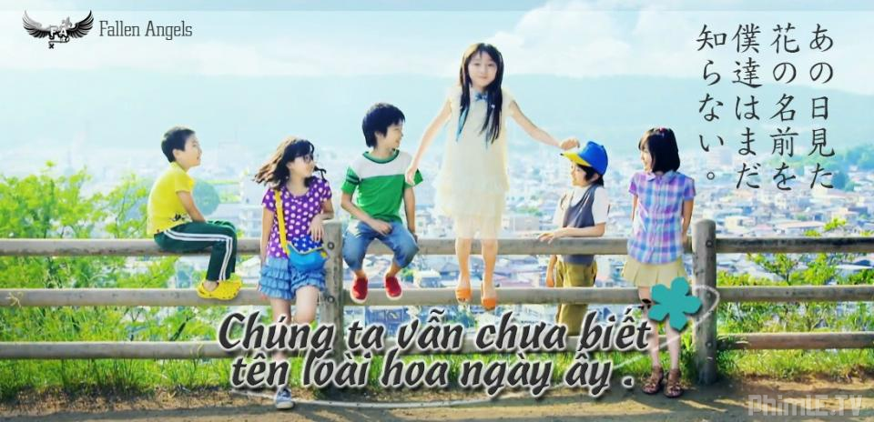 Chúng Ta Vẫn chưa biết Tên Loài Hoa Ngày ấy