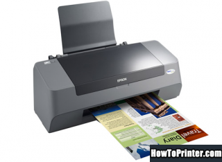 Reset Epson C79 printer by Resetter program