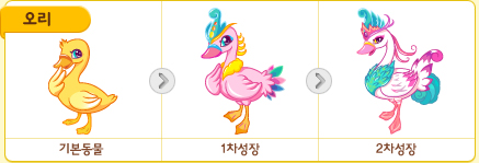 파일:/new_pet/growth/swan_growth.jpg