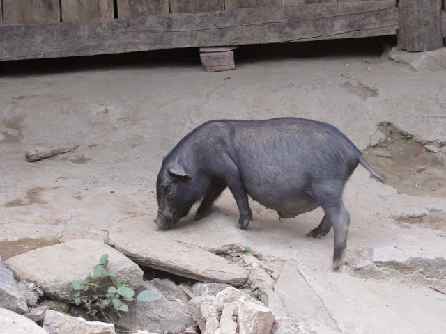 Вьетнам-онлайн, 2 недели, Ханой - Сайгон 13.04.15 - 27.04.15, одиночный трип