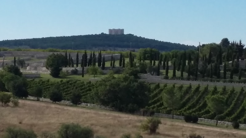 Immagine principale di Cantine Carpentiere