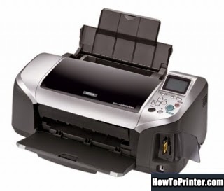 Reset Epson R300 printer by Epson Waste Ink Pad Counters resetter