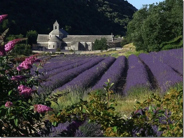 Abbaye_de_Sénanque_(Gordes-Vaucluse)_vue_du_Nord