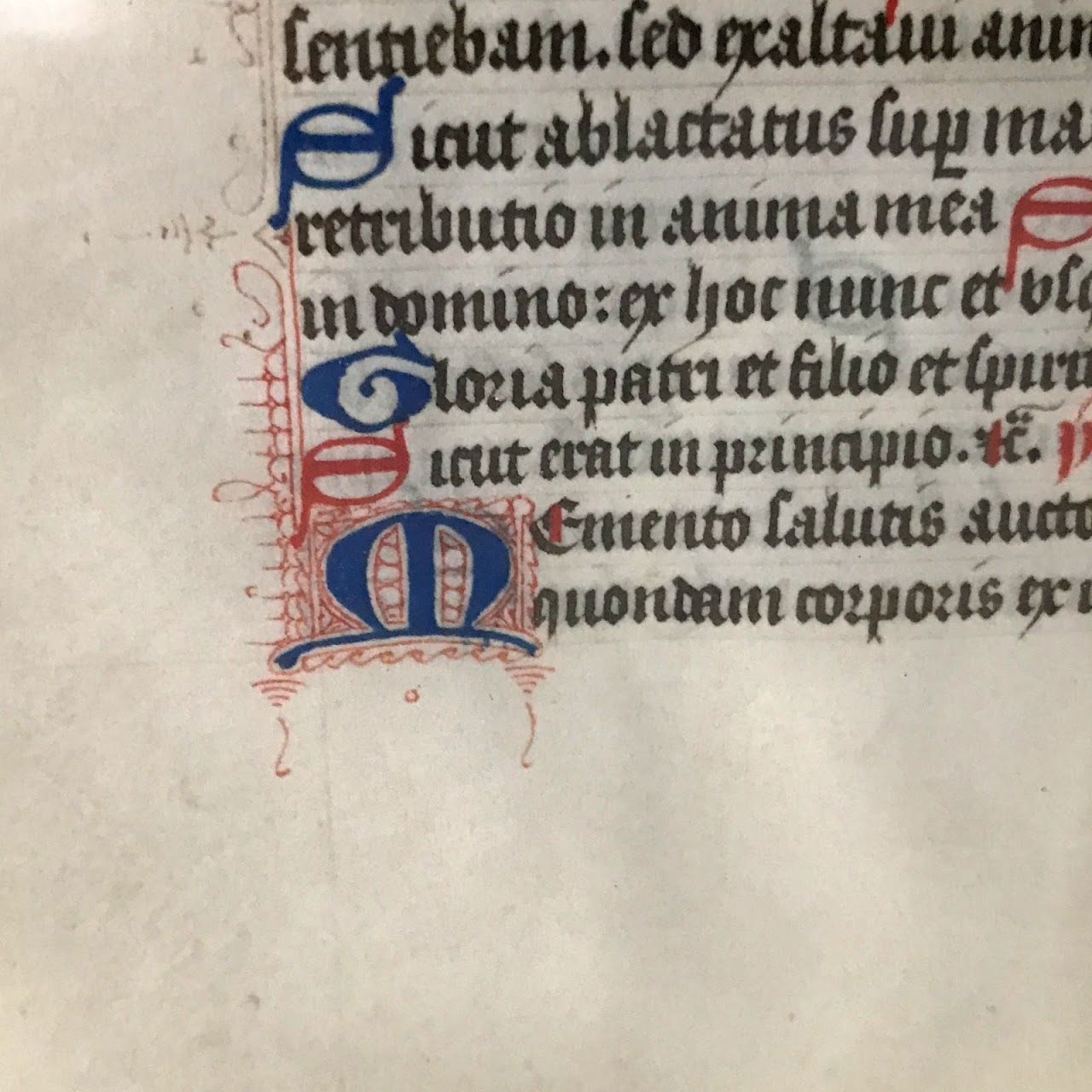 Medieval Style Latin Manuscript Page