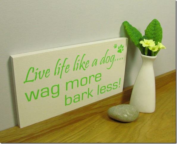 wag more bark less