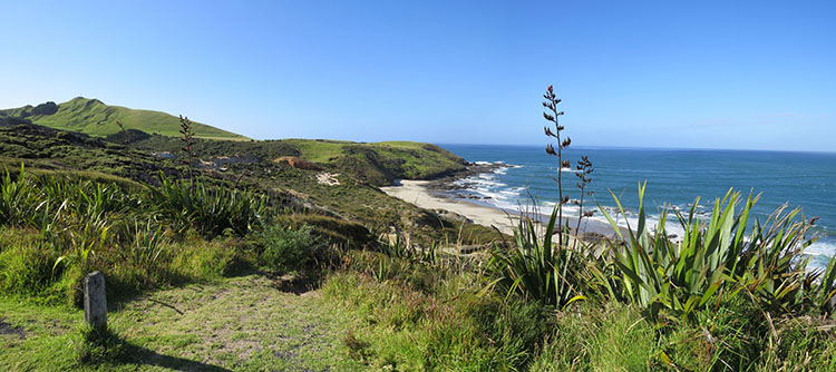 NOTRHLAND (IV): WAIPOUA FOREST Y BAYLEYS BEACH - NUEVA ZELANDA: NAVIDADES EN LAS ANTÍPODAS (3)