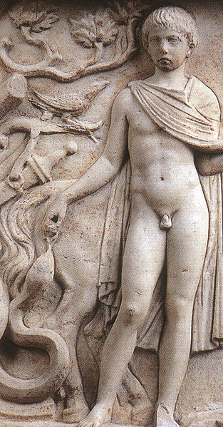 파일:external/upload.wikimedia.org/313px-Apotheosis_of_Polydeukion%2C_detail.jpg