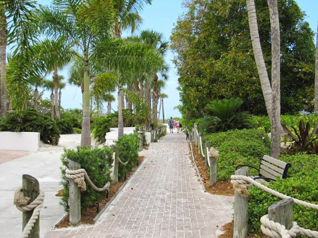 SIESTA KEY - DISNEYWORLD, PLAYAS DE FLORIDA Y NAVEGANDO POR EL CARIBE (4)