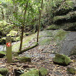 GNW arrow post in a mossy valley (360536)