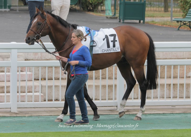 Photos Chantilly 12-07-2015 IMG_2912