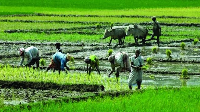 Farmers' respect