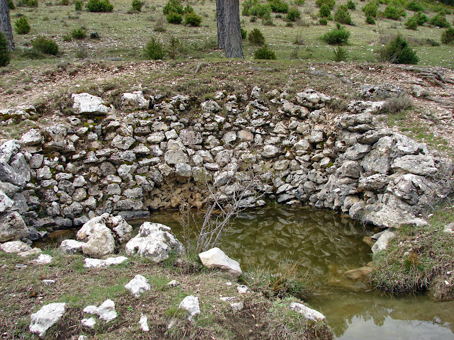 Senderismo - Coll de la Creu - Punta Boixet - Alt de la Coscollosa - Barranc de la Coscollosa