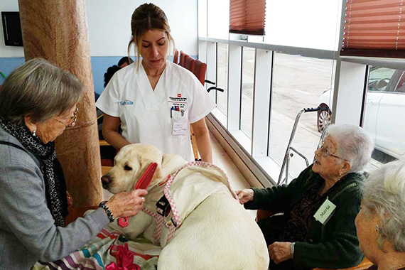 Las terapias asistidas por animales se incorporan a las Residencias de Mayores