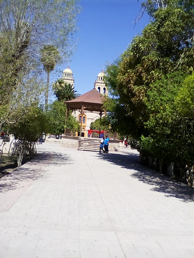 Casa de la cultura San Pedro, Coahuila, Miguel Hidalgo, Centro, 27800 San Pedro, Coah., México, Casa de la cultura | COAH