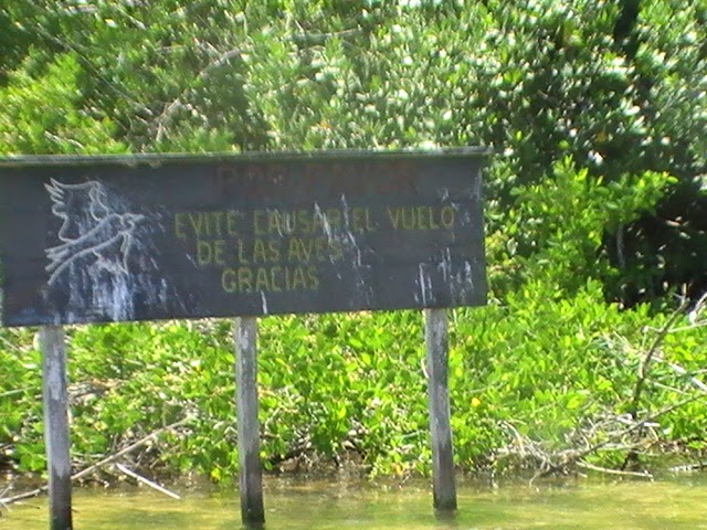 PENINSULA YUCATAN & MI REENCUENTRO CON EL PUEBLO MAYA - Blogs de Mexico - RIA LAGARTOS (RESERVA DE LA BIOSFERA)EKBALAM (RUINAS MAYAS)-VALLADOLID Y ENTORNO (8)