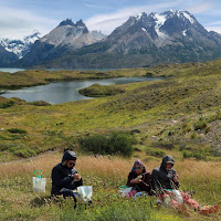 Parco del Paine di GiBi