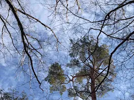 氷と太陽