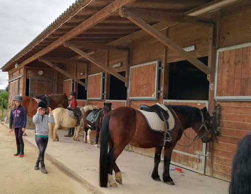 box à chevaux