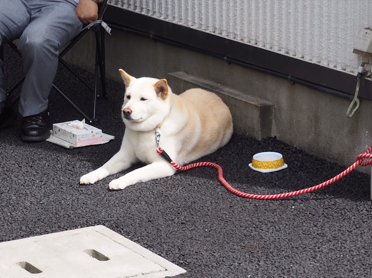 の投稿画像19枚目