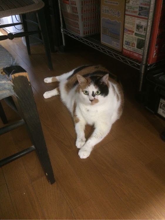 イワチャンさんが投稿したカスタム事例の投稿画像1枚目