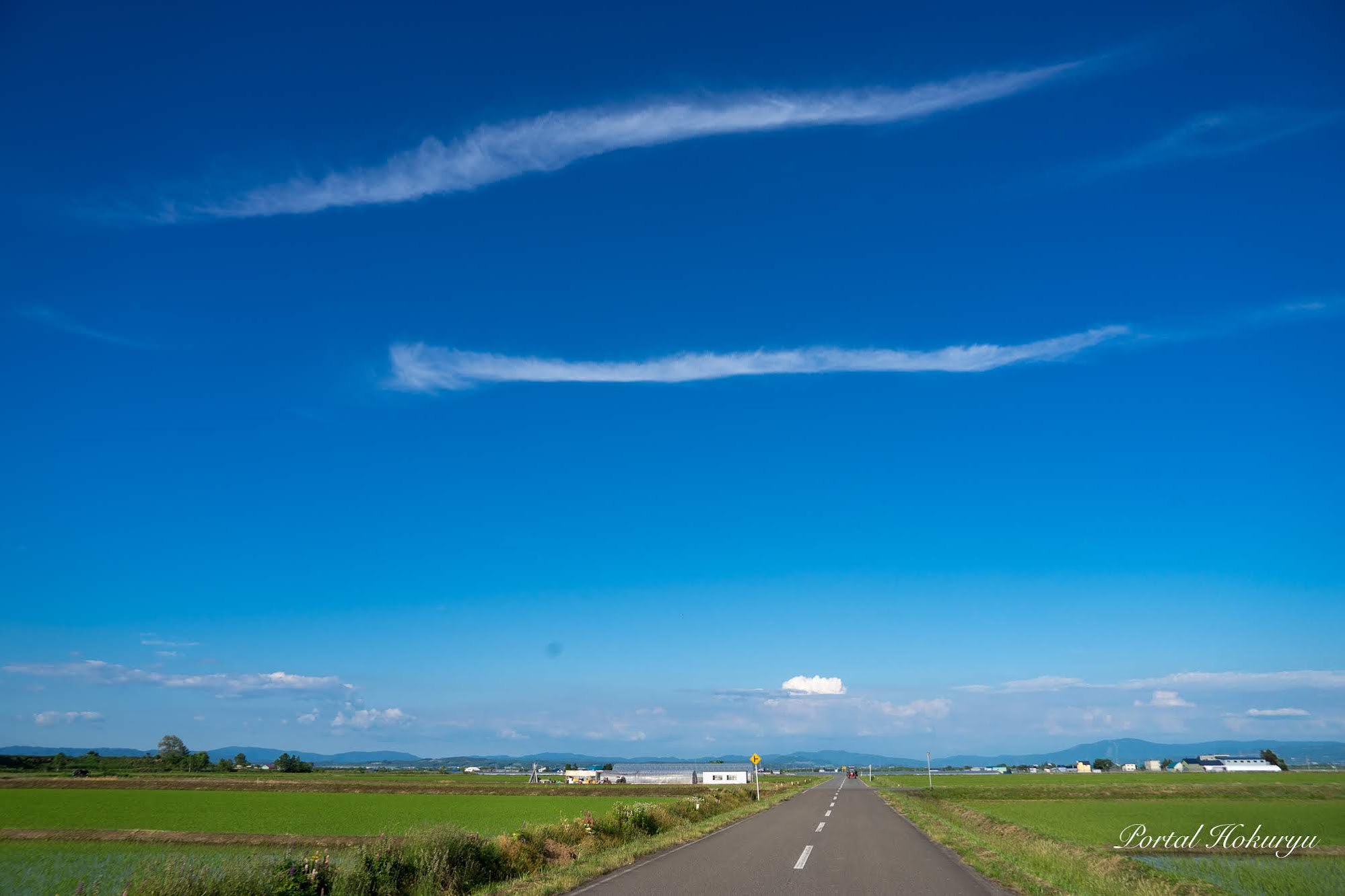 白龍舞う瑠璃色の空