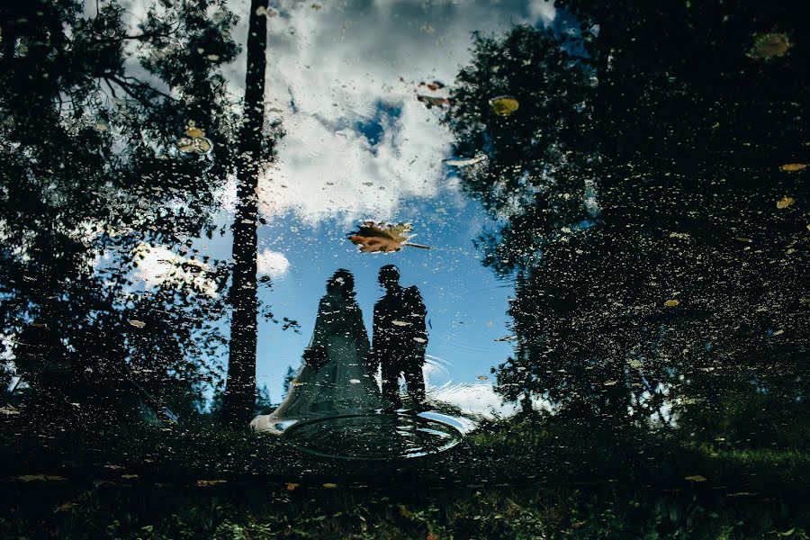 Fotógrafo de casamento Marta Vesna (mwesna). Foto de 20 de janeiro 2016