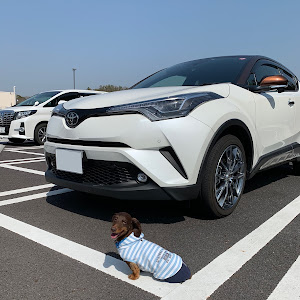 C-HR NGX50