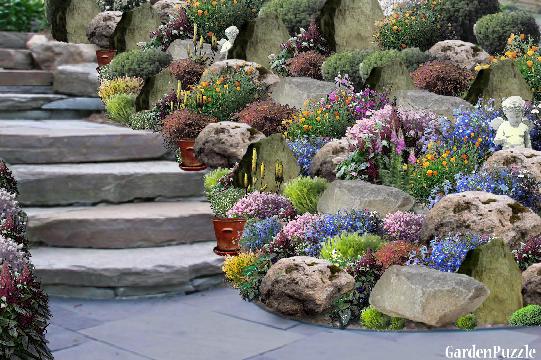Garden design:rockery - Spring