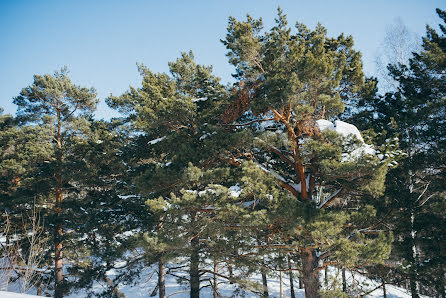 Fotógrafo de bodas Vitaliy Andreev (wital). Foto del 5 de marzo 2017