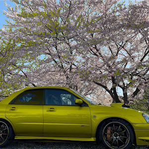 インプレッサ STI